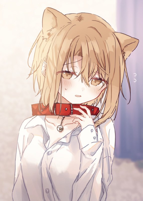 TopArtiek | Сбор на яхтуTopArtiek | Сбор на яхту