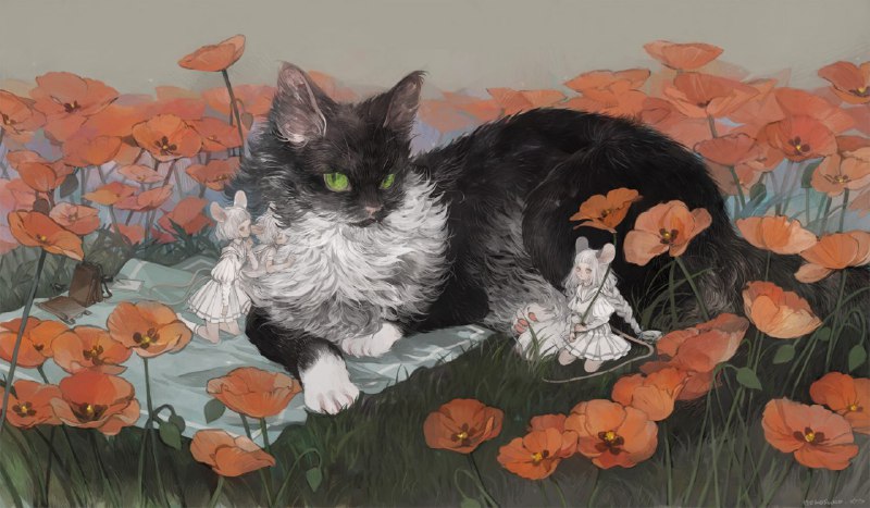 Котэ😺Full